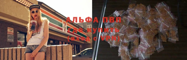 шишки Алзамай